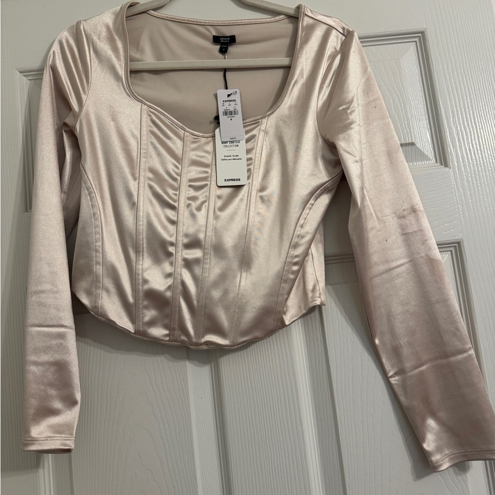 Express Satin-Like Long Sleeve Top in Blush